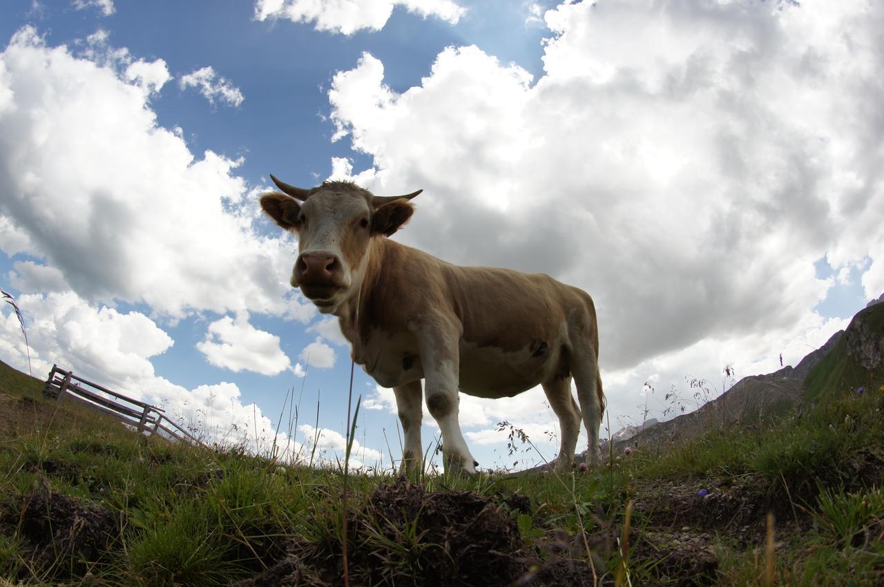 Garni Biancaneve Ruffrè-Mendola Esterno foto